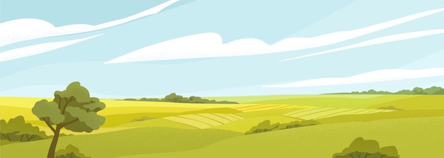 Vector fields panorama flat vector illustration. beautiful countryside scenery, picturesque rural landscape, scenic view. oak tree on glade, green hills under cloudy sky. natural environment, vivid nature.