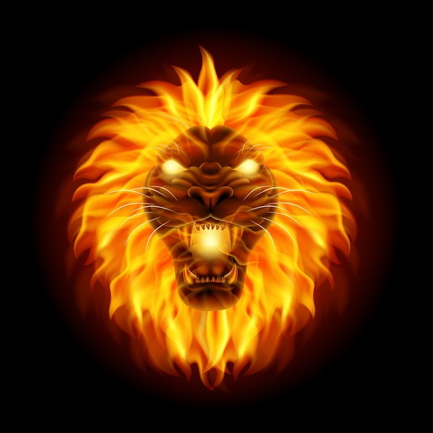 Vector fire lion head mascot