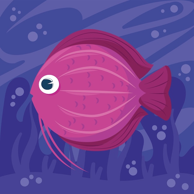 Fish on purple background