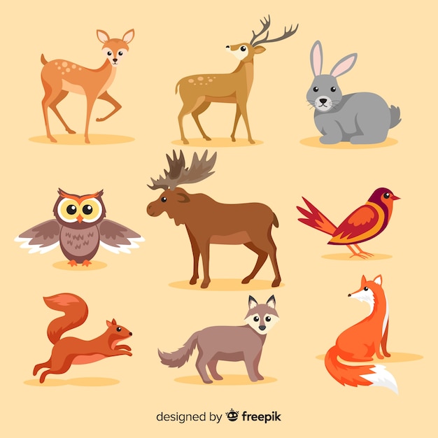 Vector flat autumn forest animal collection