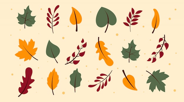 Flat autumn forest leaves collection  