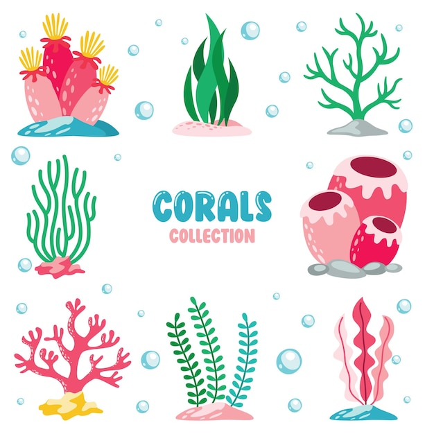 Flat Drawing Of Colorful Corals