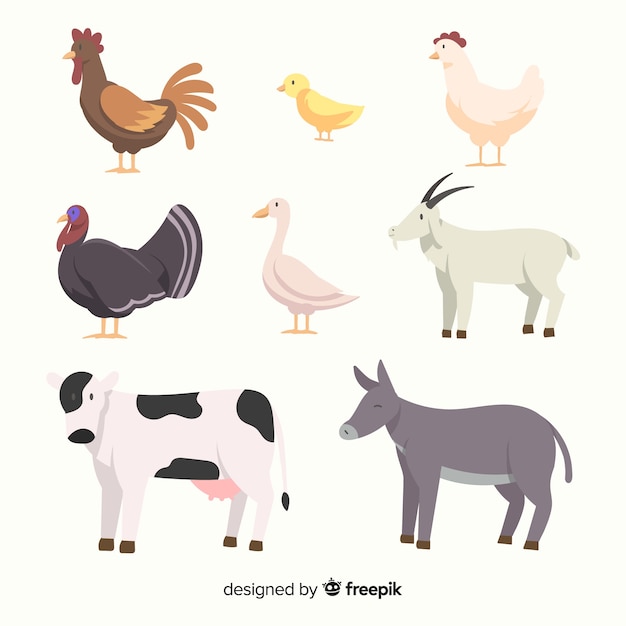 Vector flat farm animal collection