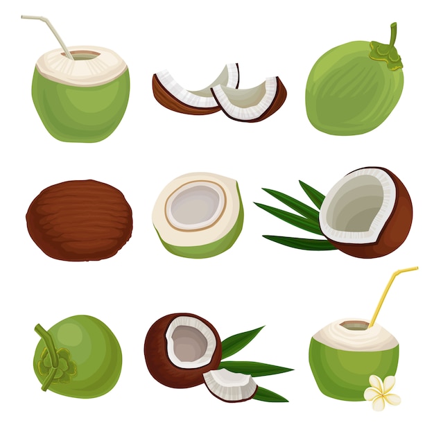 Flat   set of fresh coconuts. Exotic cocktail. Natural and healthy food. Tropical fruit. Elements for product packaging or poster