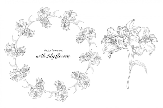 flower set with Lily flowers