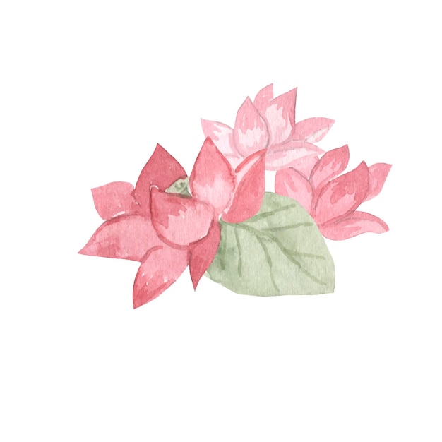 Flower watercolor illustration for kids