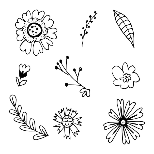 Flowers hand drawn black paint vector set