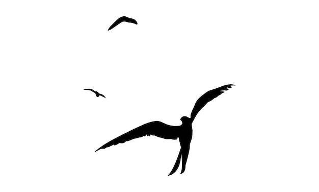 Vector flying birds vector and illustration