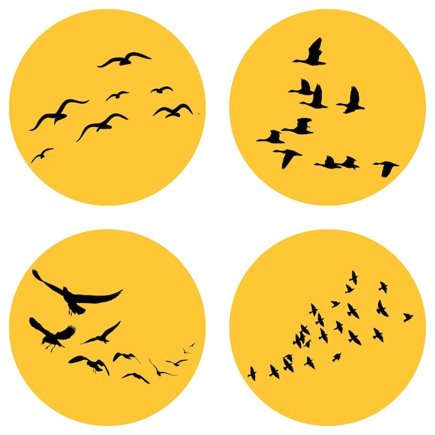 Vector flying birds