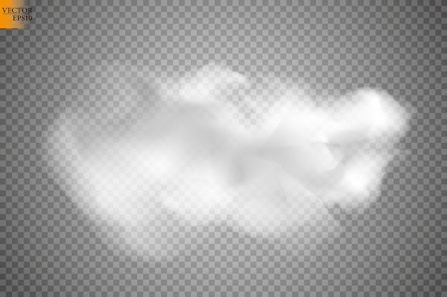 Vector fog or smoke isolated transparent special effect white vector cloudiness mist or smog background vector illustration