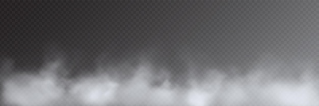 Vector fog smoke on transparent background panoramic view