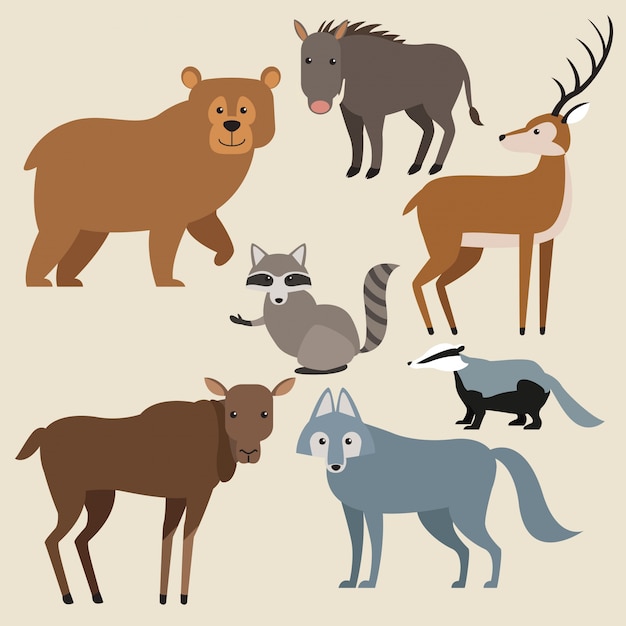 Forest animals cartoon