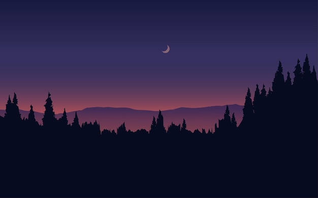 forest night silhouette landscape