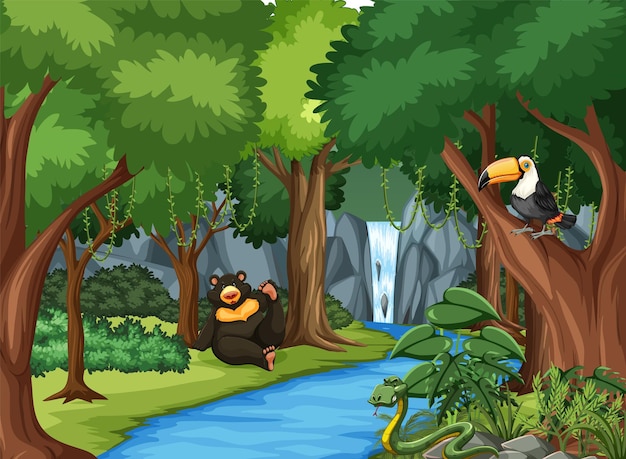 Forest scene with black bear and toucan bird