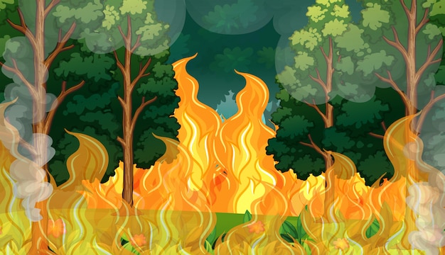 A Forest Wildfire Disaster 