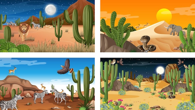 Four different desert forest landscape scenes with animals and plants