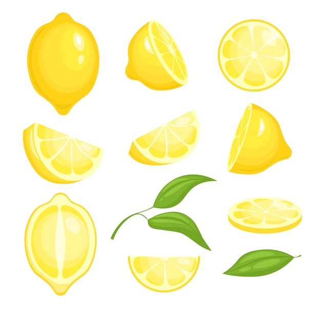 Vector fresh lemons collection. yellow sliced citrus fruits with green leaf for lemonade.  isolated cartoon pictures of lemons