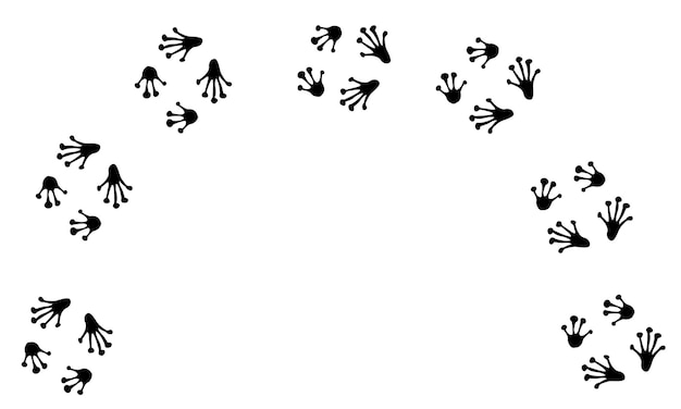 Vector frog paw print black isolate on white background