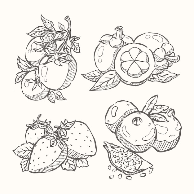 fruit hand drawn