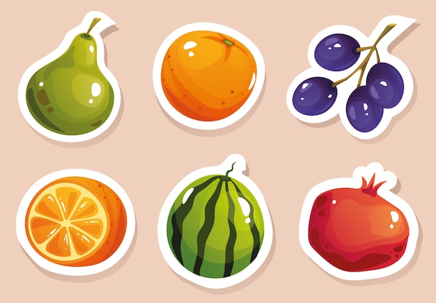 Fruit stickers vector cartoon artwork isolated set graphic design illustration