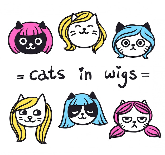 Funny cats in wigs