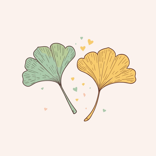 Vector gingko leaf illustration vector design