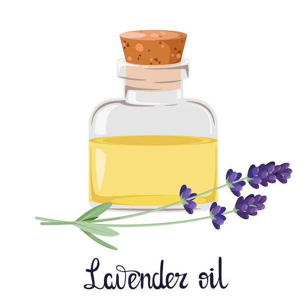 Glass bottle with lavender oil on a white background. Cartoon design.