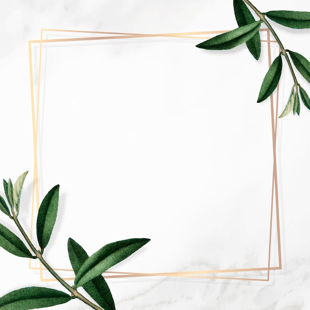 Gold frame with green leaves on white background vector