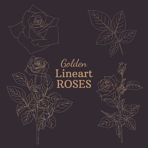 Vector golden lineart roses