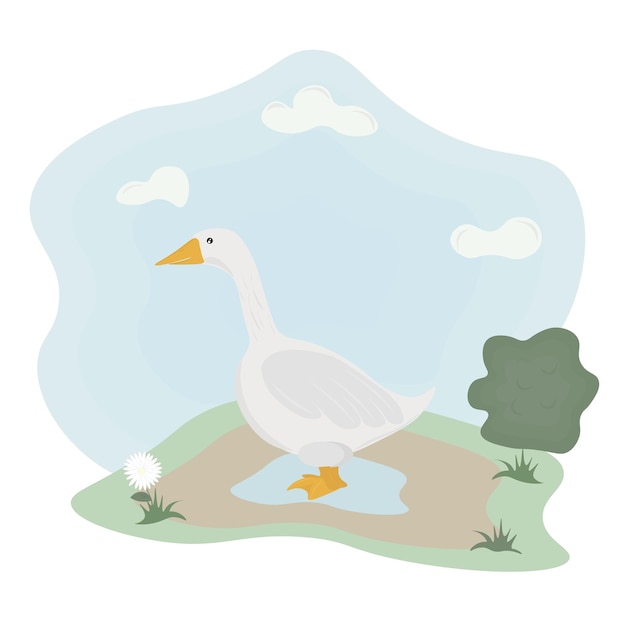 Goose on a meadow