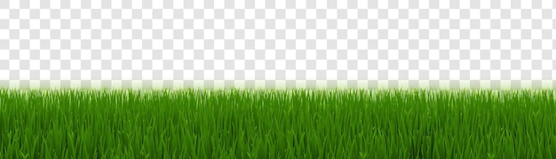 Grass Frame And Transparent background