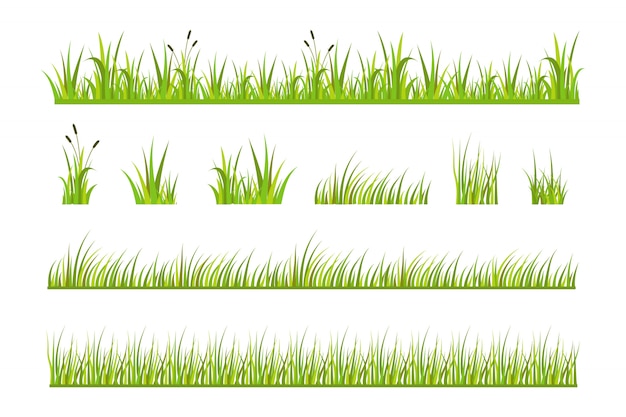 Grass vector illustration