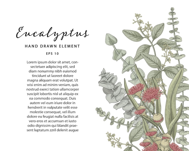 Vector green botanical hand drawn illustration with sample text template