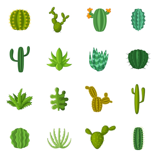 Green cactuses icons set