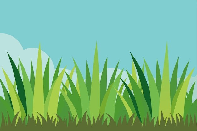 Vector green grass and blue sky landscape