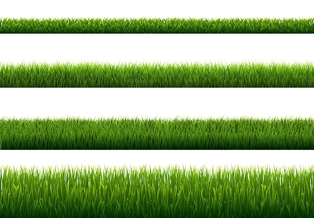 Green Grass Border White Background With Gradient Background, Vector Illustration