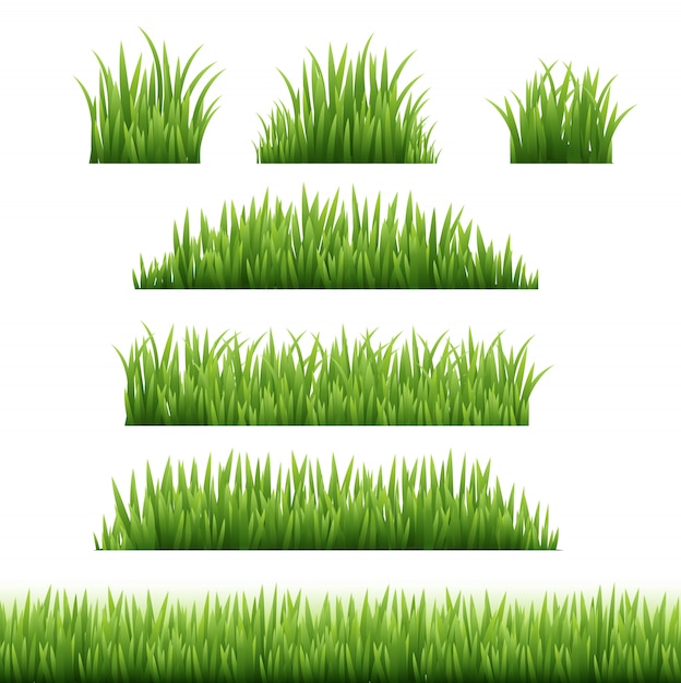 Green Grass Frame Set  Transparent Background