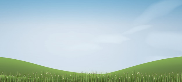 Vector green grass hill with blue sky.