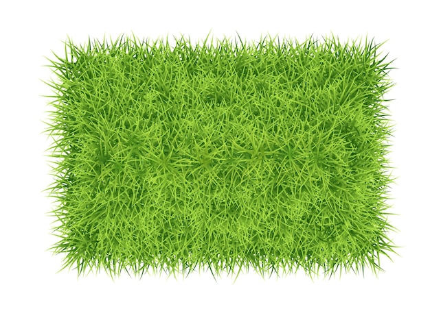 Green grass rectangle vector nature background