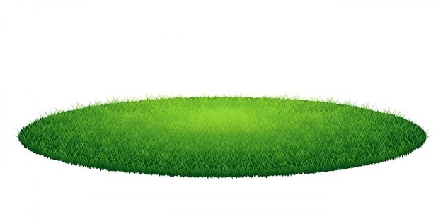 Vector green grass round arena