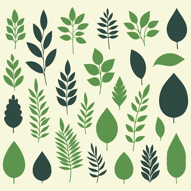 Vector green leaf icon set leaf icon on an isolated background