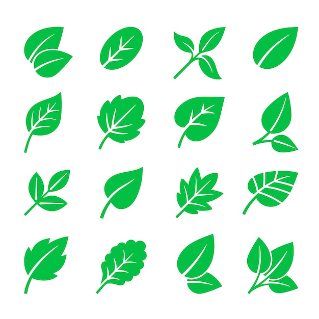 Green leaves icons. Vector leaf symbols illustration, trees leafs signs isolated on white for natural logo and green labels