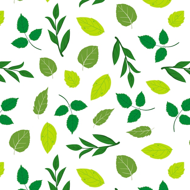 Green leaves pattern on white background