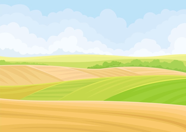 Vector green and yellow fields vector illustration on white background