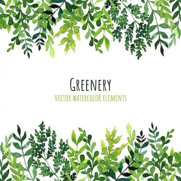 Greenery seamless borders, watercolor leaves and branches