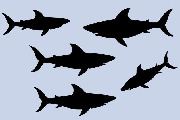 Vector a group of black and white shark in the sky