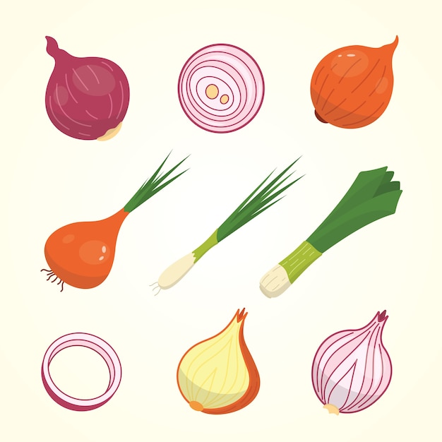 Half, slice and whole onion ripe. Yellow, red and spring onions vegetable  set .