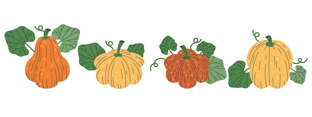 Halloween holiday pumpkins fall vector illustration icons set