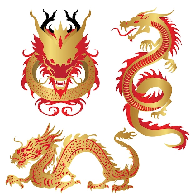 Vector hand drawing vector dragon chinese character collection