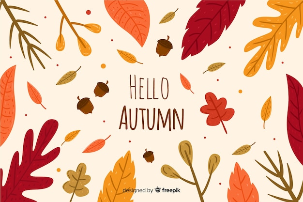 Hand drawn autumn background with leaves